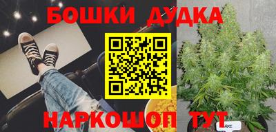 крисы Малоярославец